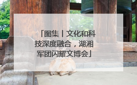 图集丨文化和科技深度融合，湖湘军团闪耀文博会