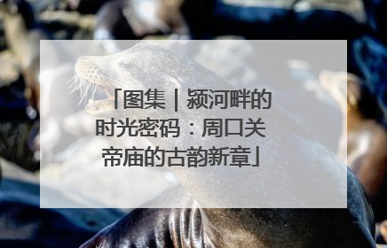 图集｜颍河畔的时光密码：周口关帝庙的古韵新章
