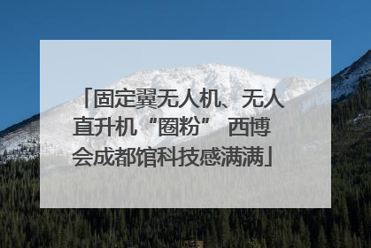 固定翼无人机、无人直升机“圈粉” 西博会成都馆科技感满满