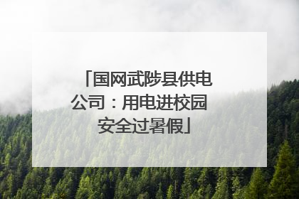 国网武陟县供电公司：用电进校园  安全过暑假