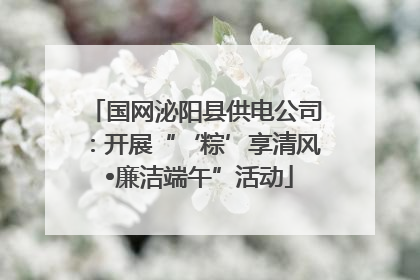 国网泌阳县供电公司：开展“‘粽’享清风 •廉洁端午”活动