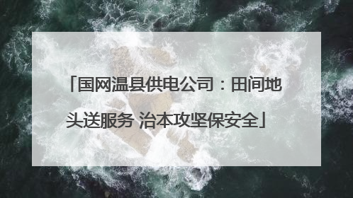 国网温县供电公司：田间地头送服务 治本攻坚保安全