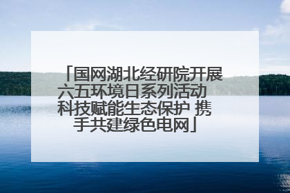 国网湖北经研院开展六五环境日系列活动 科技赋能生态保护 携手共建绿色电网