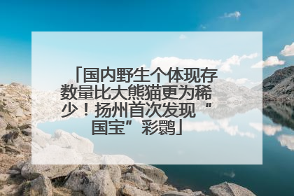国内野生个体现存数量比大熊猫更为稀少！扬州首次发现“国宝”彩鹮