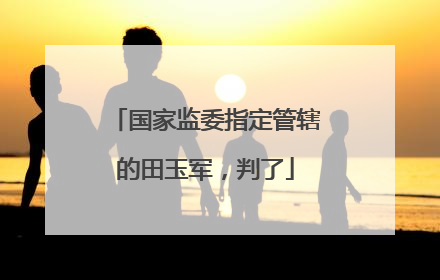 国家监委指定管辖的田玉军，判了