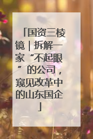 国资三棱镜｜拆解一家“不起眼”的公司，窥见改革中的山东国企