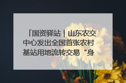 国资驿站｜山东农交中心发出全国首张农村基站用地流转交易“身份证”；“湾区跨境绿运通”上线
