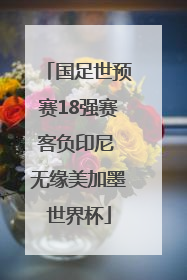 国足世预赛18强赛客负印尼 无缘美加墨世界杯