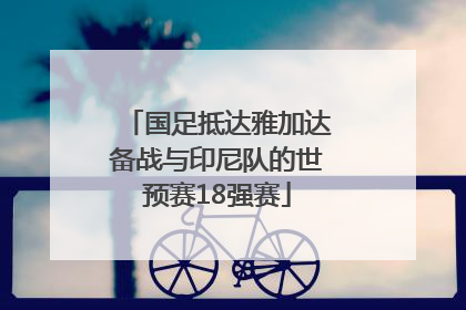 国足抵达雅加达备战与印尼队的世预赛18强赛