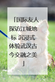 国际友人探访江城地标 沉浸式体验武汉古今交融之美