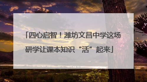 四心启智！潍坊文昌中学这场研学让课本知识“活”起来