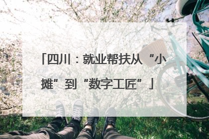 四川：就业帮扶从“小摊”到“数字工匠”