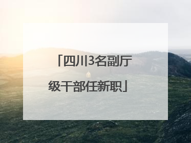 四川3名副厅级干部任新职