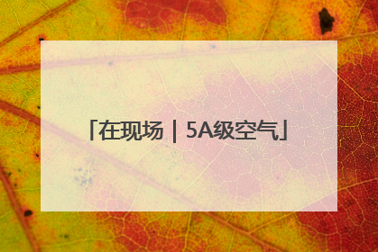 在现场｜5A级空气