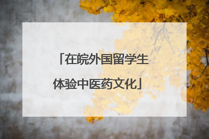 在皖外国留学生体验中医药文化