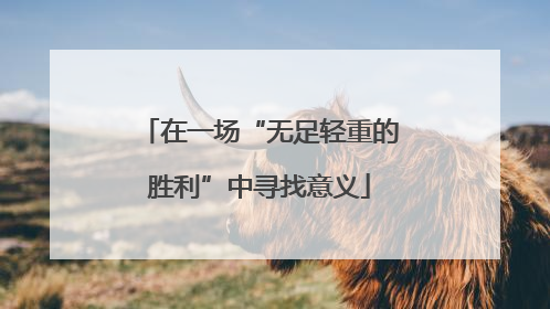 在一场“无足轻重的胜利”中寻找意义