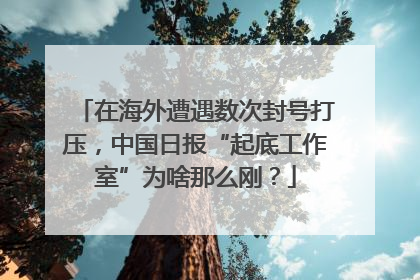 在海外遭遇数次封号打压，中国日报“起底工作室”为啥那么刚？