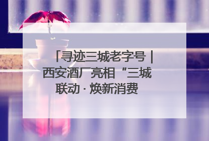 寻迹三城老字号｜西安酒厂亮相“三城联动 · 焕新消费”老字号嘉年华 共话品牌传承与创新
