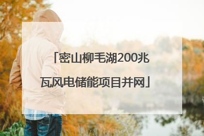 密山柳毛湖200兆瓦风电储能项目并网