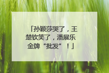 孙颖莎哭了，王楚钦笑了，潘展乐金牌“批发”！
