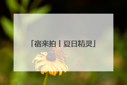 宿来拍丨夏日精灵