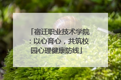 宿迁职业技术学院：以心育心，共筑校园心理健康防线