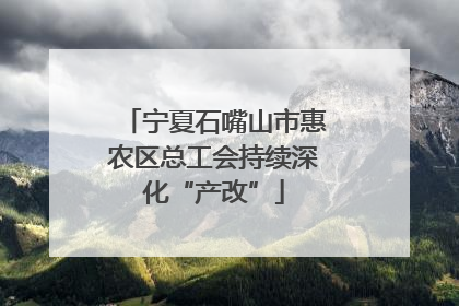 宁夏石嘴山市惠农区总工会持续深化“产改”