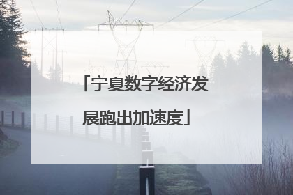 宁夏数字经济发展跑出加速度