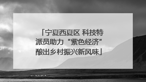 宁夏西夏区 科技特派员助力“紫色经济”酿出乡村振兴新风味