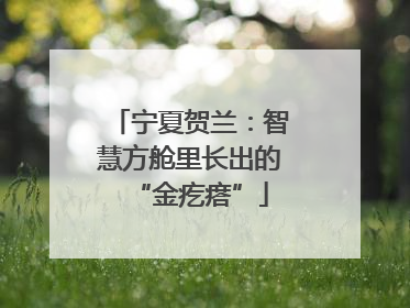 宁夏贺兰：智慧方舱里长出的“金疙瘩”