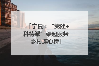 宁夏：“党建+科特派”架起服务乡村连心桥