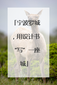 宁波罗城，用设计书“写”一座城