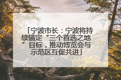 宁波市长：宁波将持续锚定“三个首选之地”目标，推动博览会与示范区互促共进