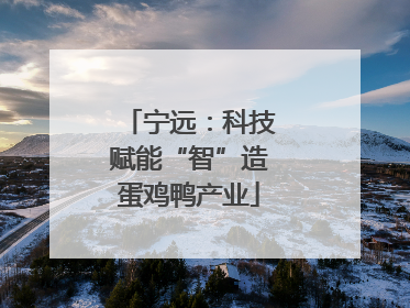宁远：科技赋能“智”造蛋鸡鸭产业