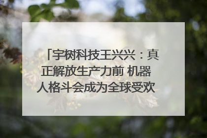 宇树科技王兴兴：真正解放生产力前 机器人格斗会成为全球受欢迎的赛事｜科技观察