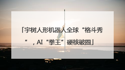 宇树人形机器人全球“格斗秀”，AI“拳王”硬核破圈