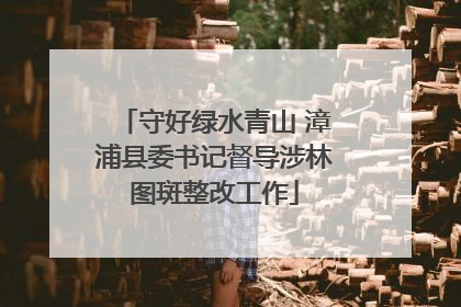 守好绿水青山 漳浦县委书记督导涉林图斑整改工作