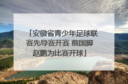 安徽省青少年足球联赛先导赛开赛 前国脚赵鹏为比赛开球