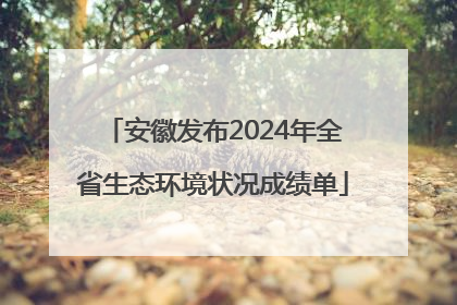 安徽发布2024年全省生态环境状况成绩单