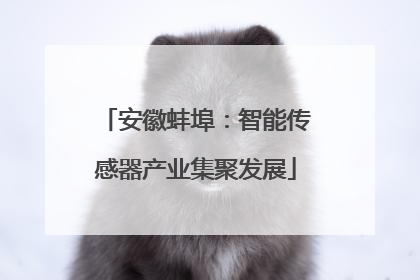 安徽蚌埠：智能传感器产业集聚发展