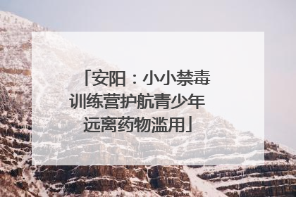 安阳：小小禁毒训练营护航青少年远离药物滥用
