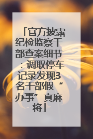 官方披露纪检监察干部查案细节：调取停车记录发现3名干部假“办事”真麻将