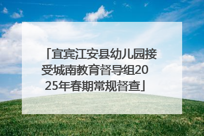 宜宾江安县幼儿园接受城南教育督导组2025年春期常规督查