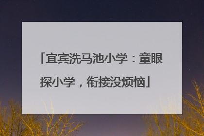 宜宾洗马池小学：童眼探小学，衔接没烦恼