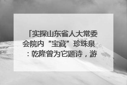实探山东省人大常委会院内“宝藏”珍珠泉：乾隆曾为它题诗，游客无需预约免费游览