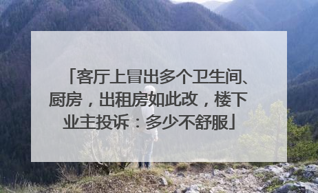 客厅上冒出多个卫生间、厨房，出租房如此改，楼下业主投诉：多少不舒服