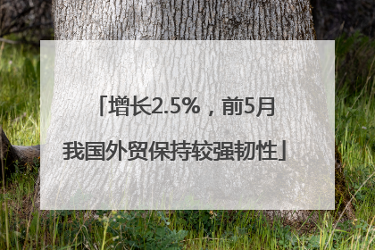 增长2.5%，前5月我国外贸保持较强韧性