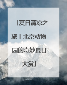 夏日清凉之旅丨北京动物园的奇妙夏日大赏