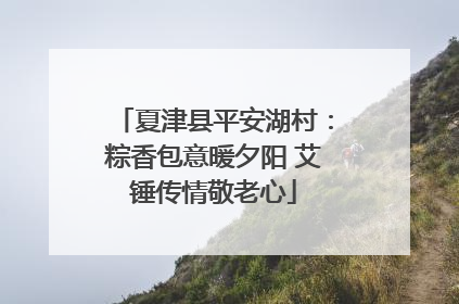 夏津县平安湖村：粽香包意暖夕阳 艾锤传情敬老心