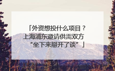 外资想投什么项目？上海浦东邀请供需双方“坐下来掰开了谈”